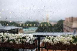 Regen / ***