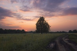 Abendlicht. / ***