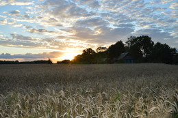 Abend im Dorf / ***