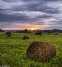 In dem Feld. / ***