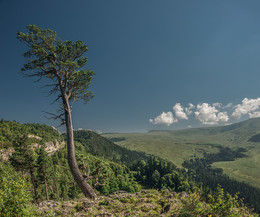 Lago- Naki Plateau / ***