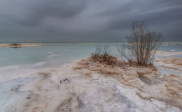 Alive Dead Sea / ***