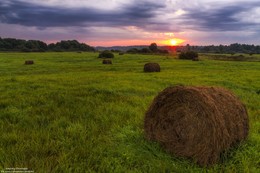 In dem Feld. / ***