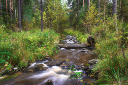 Der Beginn des Herbstes / ***