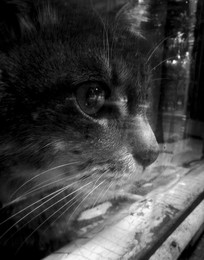 &nbsp; / https://www.youtube.com/watch?v=CIt5twRnT_0&amp;list=RDCIt5twRnT_0#t=25