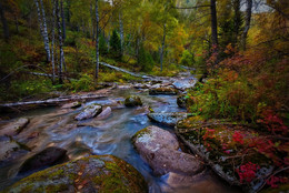 Herbst Creek / ----