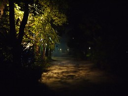 Weg / ***