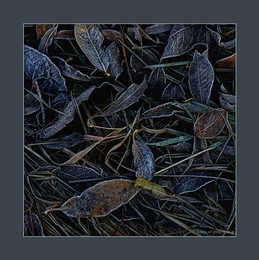 Leaves / music: Jacaszek - Dare-gale
https://www.youtube.com/watch?v=GZbfAENlyos
