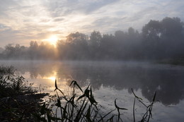 Morgen auf dem See. / ***