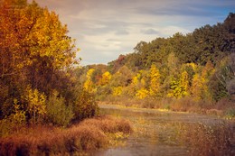 Herbstfarben / ***