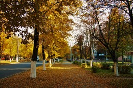 Herbst in der Stadt / ***
