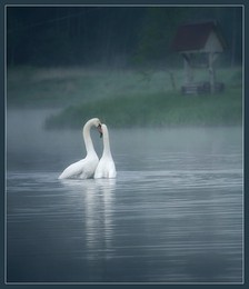 Gegenseitigkeit / ***