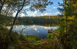 Waldsee / ***