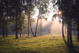 Sommermorgen. / ***