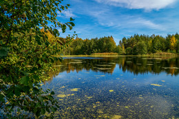 Herbst auf dem Wald-See / ***