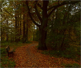 Im Herbst Park / ***