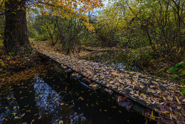 Brücke / ***