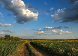 Auf der Straße mit Wolken ... / ***