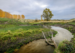 Fluss ... / ***