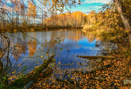 Fenster im Herbst / ***