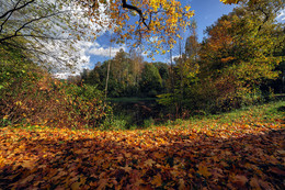 Herbst / ***