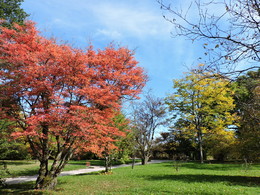 &nbsp; / Autumn in Munich