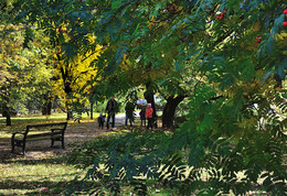 Herbst Färbung / ***