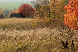 Herbst Färbung / ***
