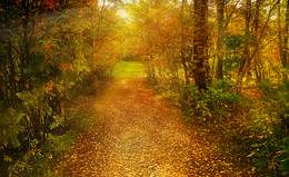 Herbst Färbung / ***
