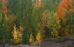 Herbst Färbung / ***