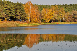 Herbst Färbung / ***