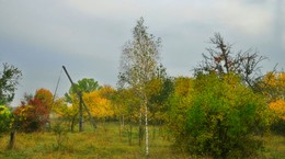 Herbst Färbung / ***