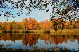 Herbst Färbung / ***