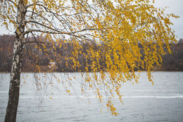 Herbst Färbung / ***