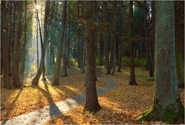 Herbst-Park / ***