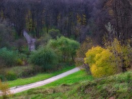 Autumn in Zarizyno / ***