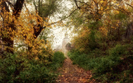 Herbst / ***