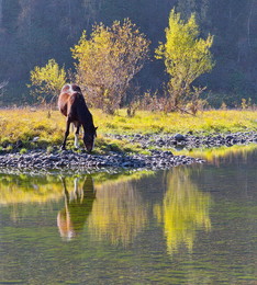 Auf dem Fluss. / ***