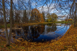 Reflexion der Herbst / ***