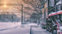 Schnee / ***