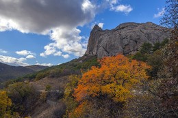 Krim-Herbst / ***