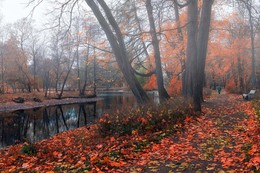 herbstlich Einsamkeit ... / ***