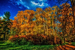 Herbstzeit ... / ***