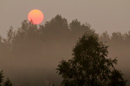 Morgendämmerung / ***