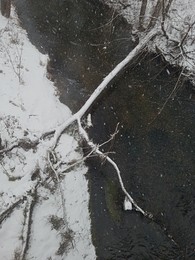 Die neue Brücke / ***