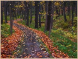Autumn in Zarizyno / ***