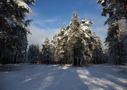 Wintermärchen / ***