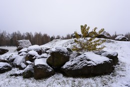 und Bäume auf den Felsen / ....