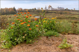 Herbstblumen / ***