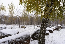 Herbst-Traum / .....